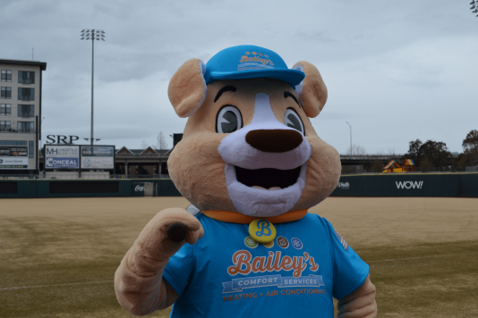 Bailey in North Augusta