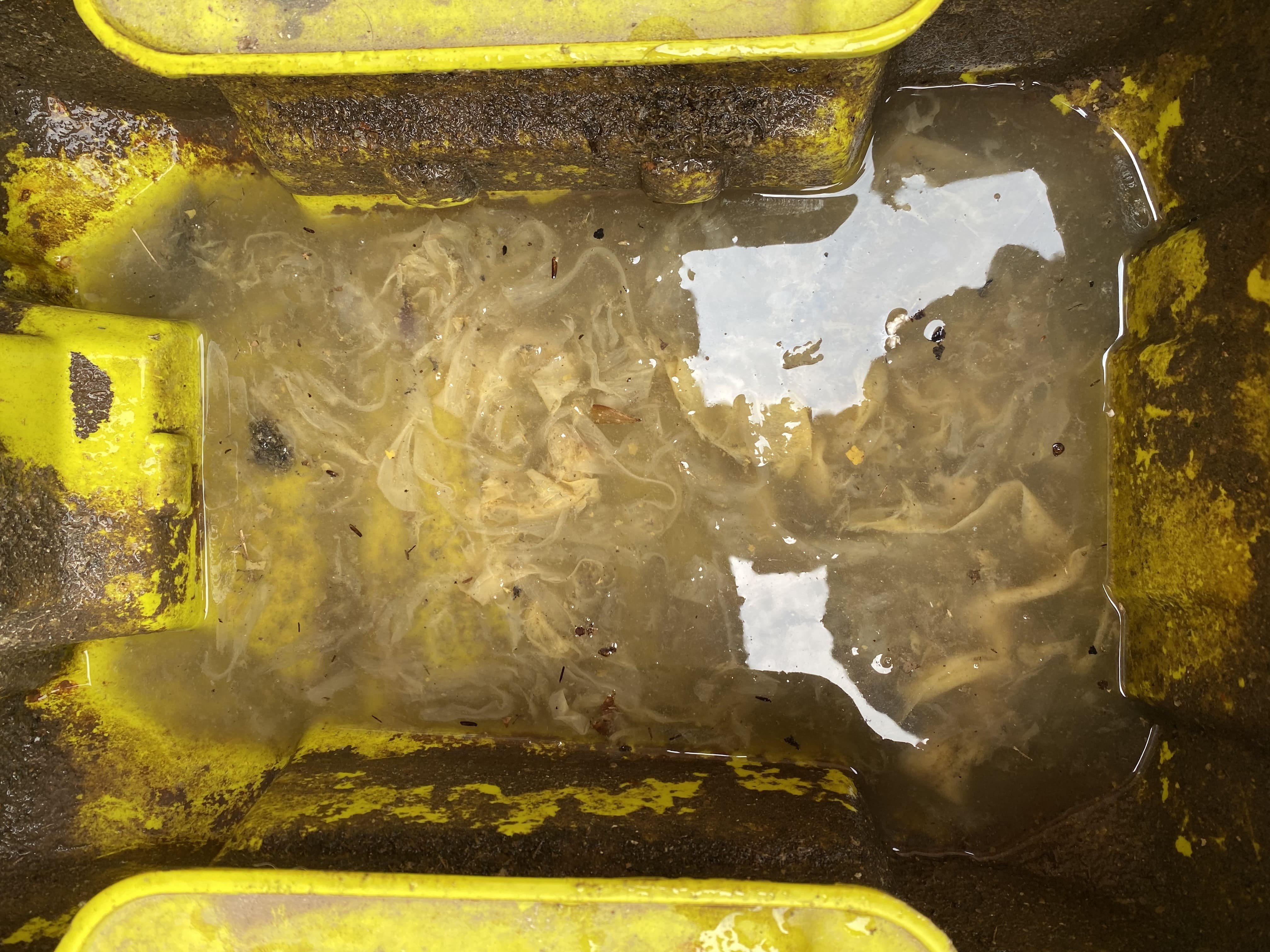 photo of the furnace Bailey's fixed in Augusta, GA