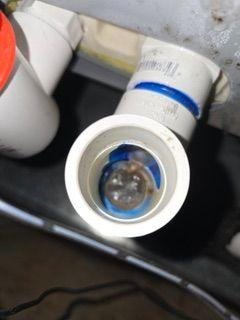 Open AC condensate drain line fitting with biofilm buildup inside